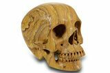 Realistic, Polished Picture Jasper Skull #378610-2